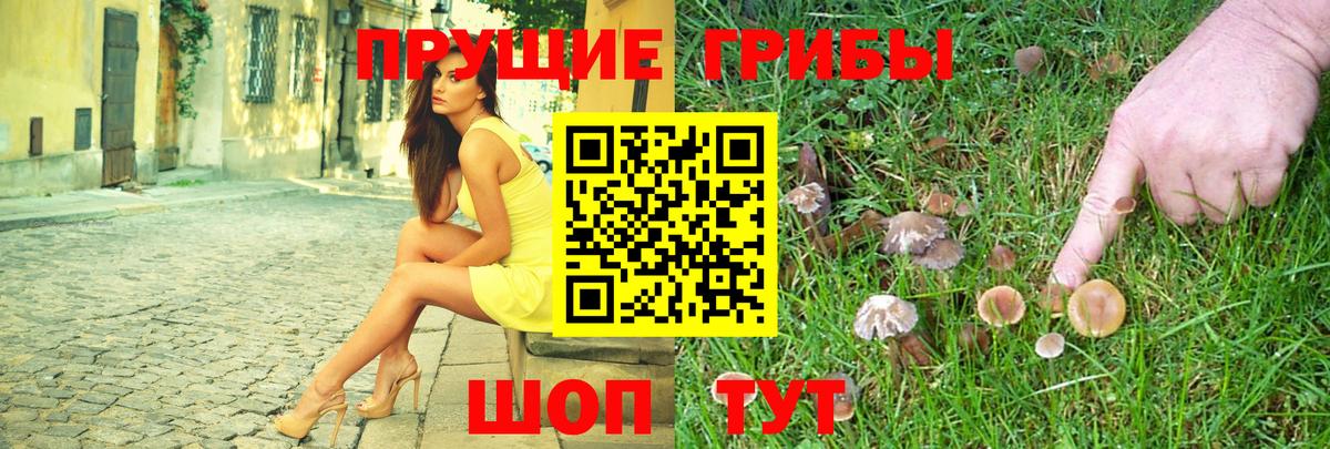 Псилоцибиновые грибы Magic Shrooms  Вход с VPN  где купить наркоту  Галлюциногенные грибы MAGIC MUSHROOMS  Унеча 